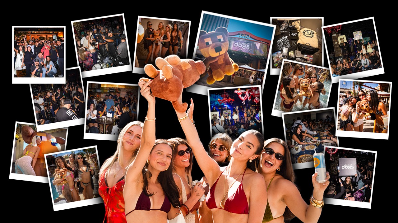 Photo collage of a Doginal Dogs community party with merch and nightlife