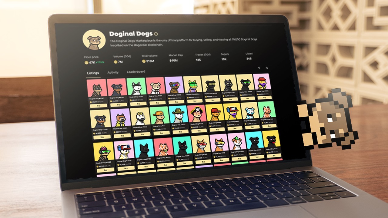 Laptop showing the official Doginal Dogs NFT marketplace grid