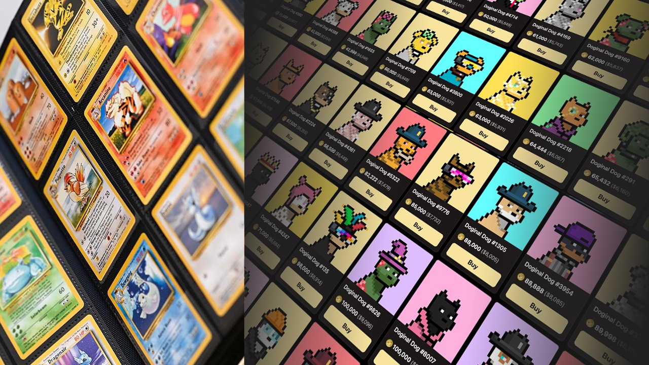 Sleeved Pokemon binder compared with a Doginal Dogs NFT marketplace grid